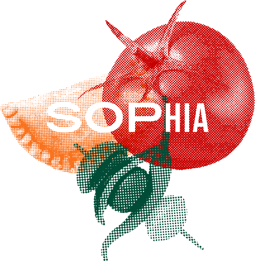 SOPHIA Gastrobar, bares y pubs en Zaragoza